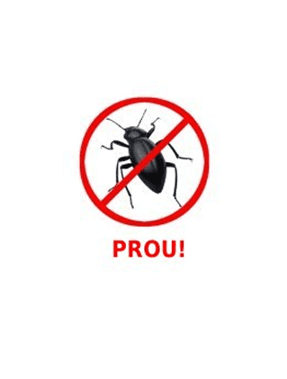 Control De Plagues Jesus Fernandez Pou insecto